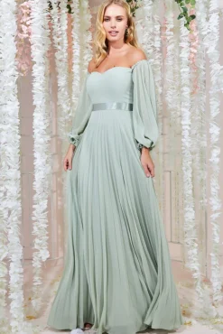 Women * Bardot Chiffon Pleated Maxi