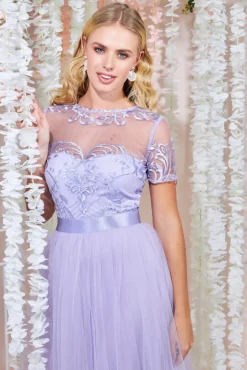 Women * Embroidered Mesh Maxi Dress