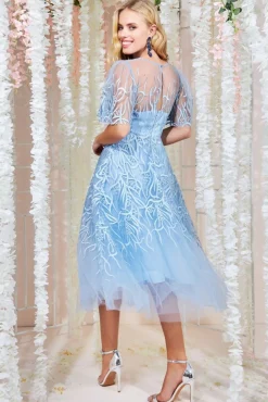 Women * Embroidered Mesh Midi Dress - Powder Blue