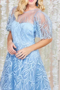 Women * Embroidered Mesh Midi Dress - Powder Blue