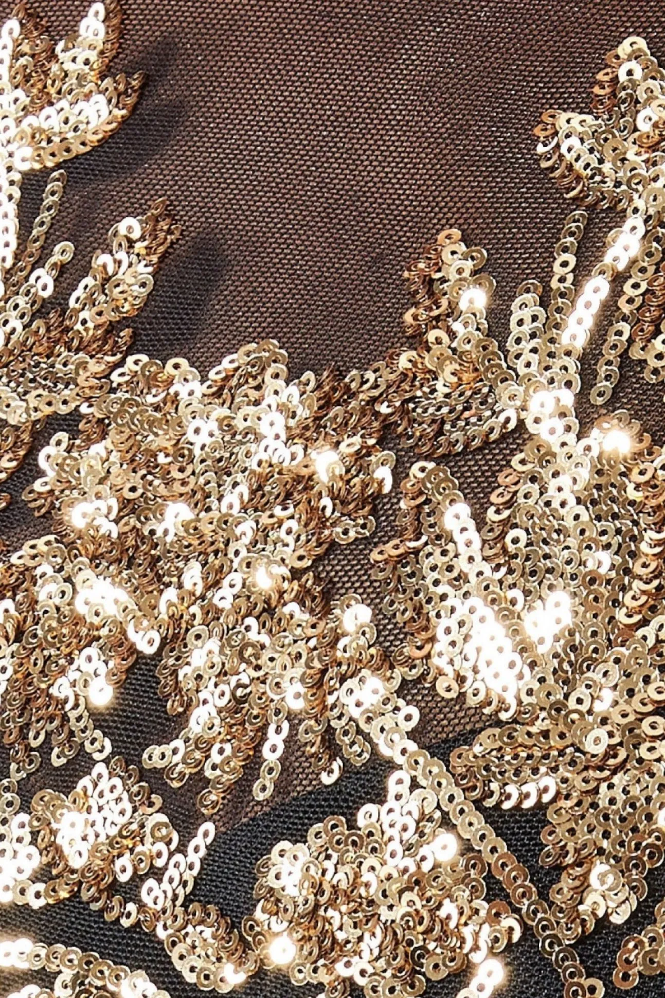 Women * Exclusive Sequin Mesh Embroidered Maxi Dress