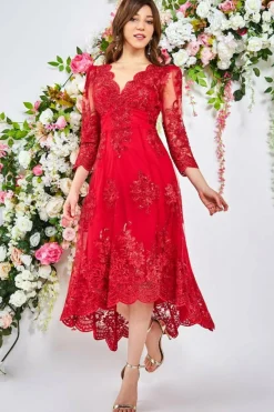 Women * Scalloped Lace High Low Midi Dress