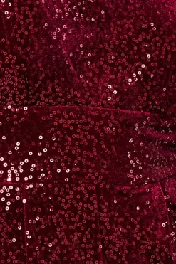 Women * Sequin & Velvet Corset Jumpsuit
