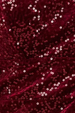 Women * Sequin Velvet Bandeau Maxi Dress