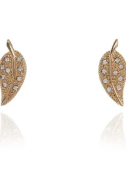 Women Cachet London Leafy Earrings 18Ct Plated