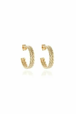Women Cachet London Oletta 2Cm Hoop Earrings