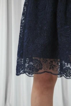 Women Double Second Embroidered Lace Skater Dress