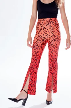 Women Liquorish Leopard Print Ombre Suit Trousers