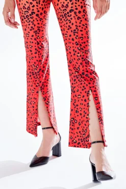 Women Liquorish Leopard Print Ombre Suit Trousers