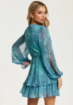 Women Liquorish V-Neck Leopard Print Knot Front Mini Dress