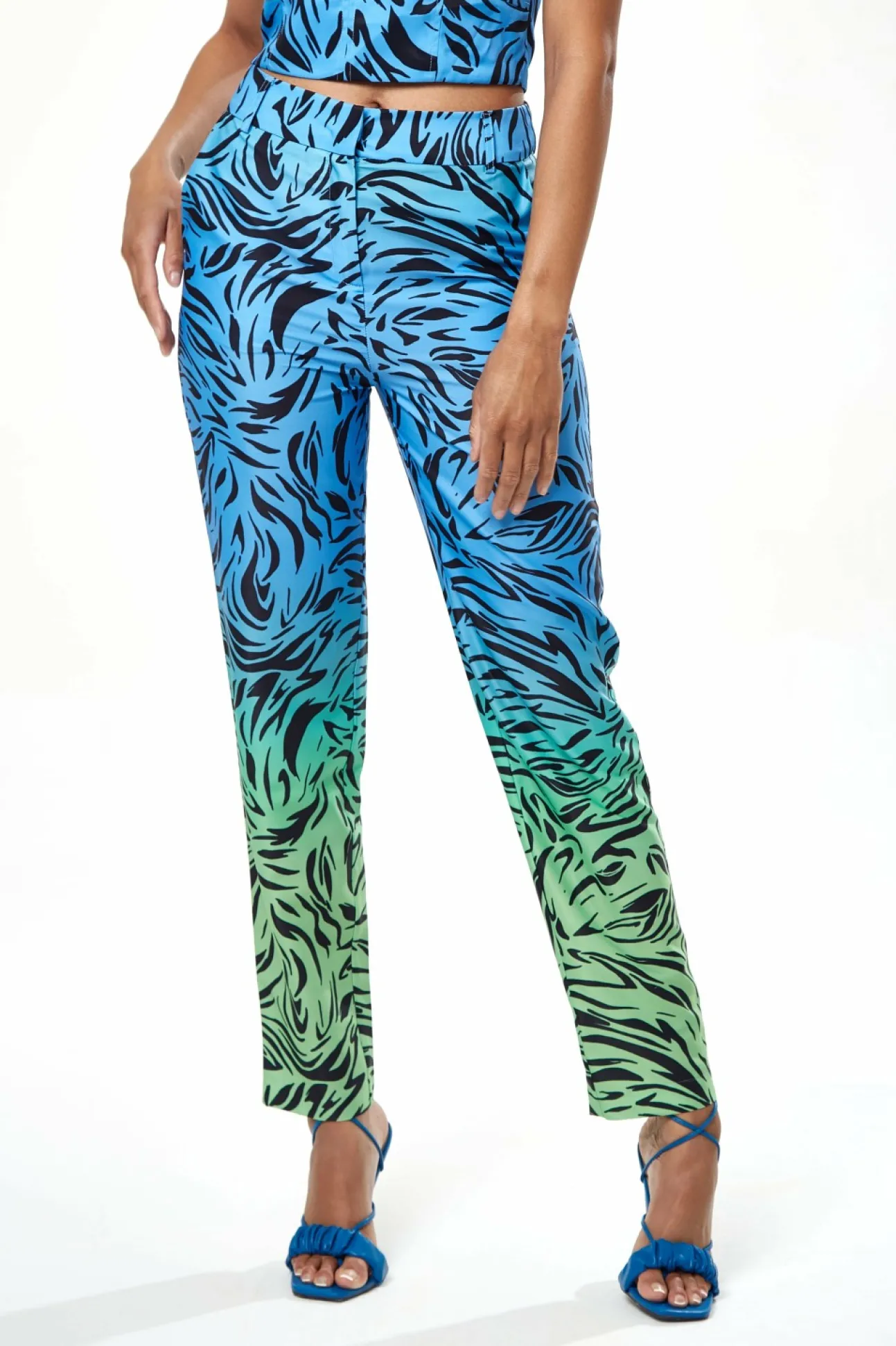 Women Liquorish Zebra Print Ombre Trosuers In Blue And Green