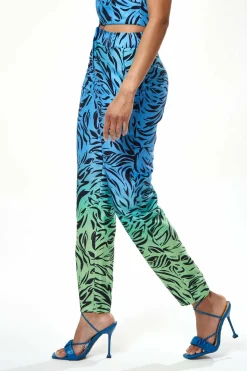 Women Liquorish Zebra Print Ombre Trosuers In Blue And Green