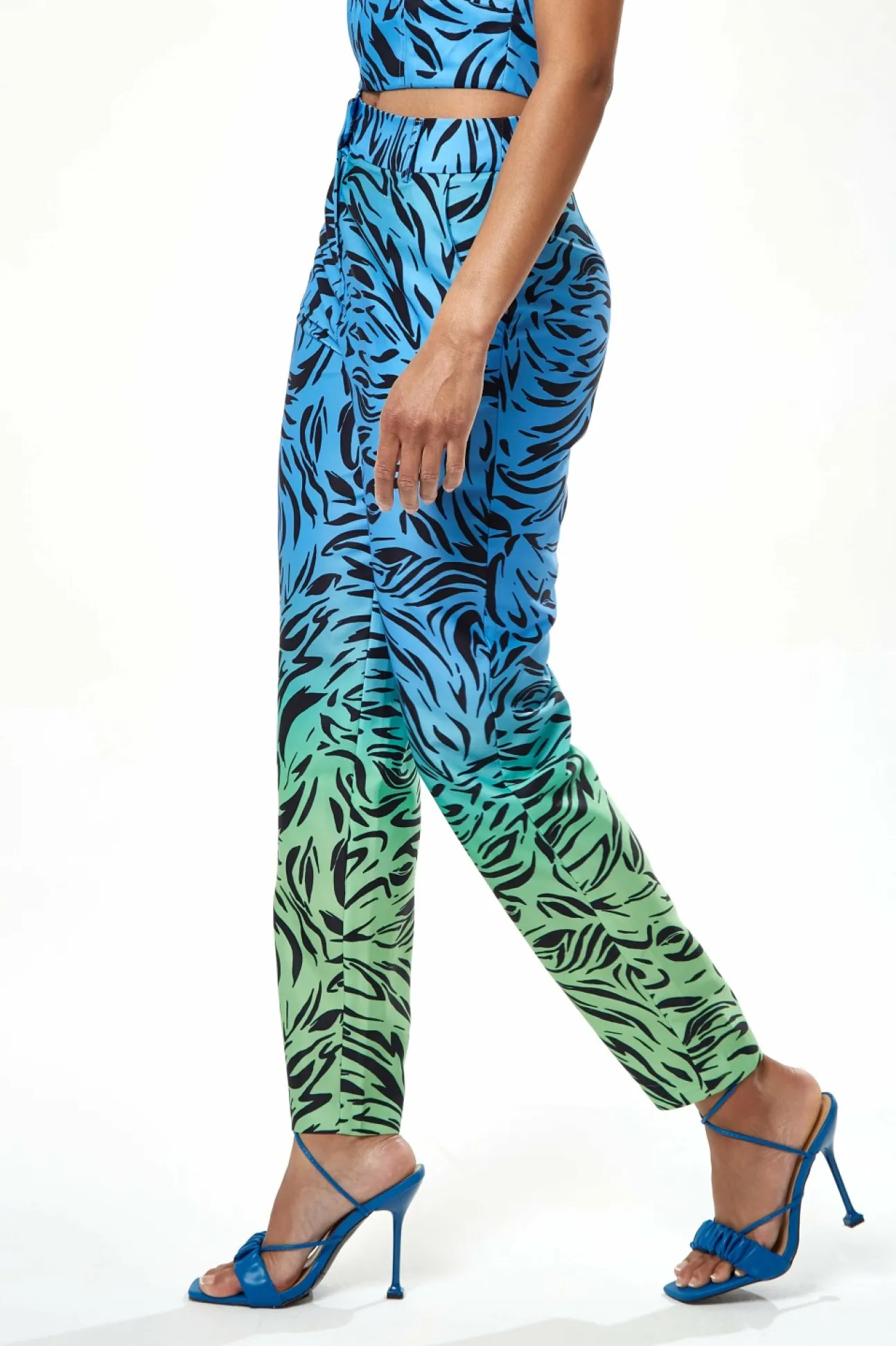 Women Liquorish Zebra Print Ombre Trosuers In Blue And Green